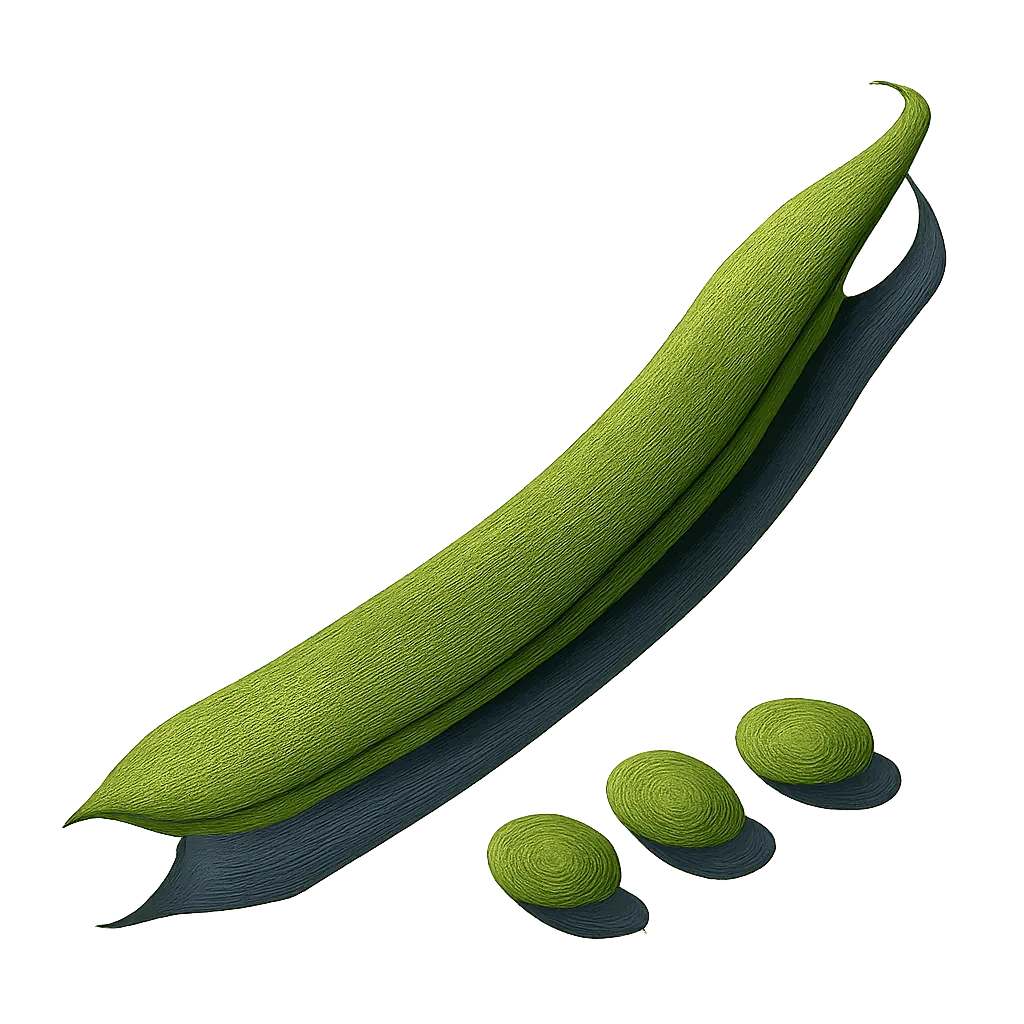 Runner bean